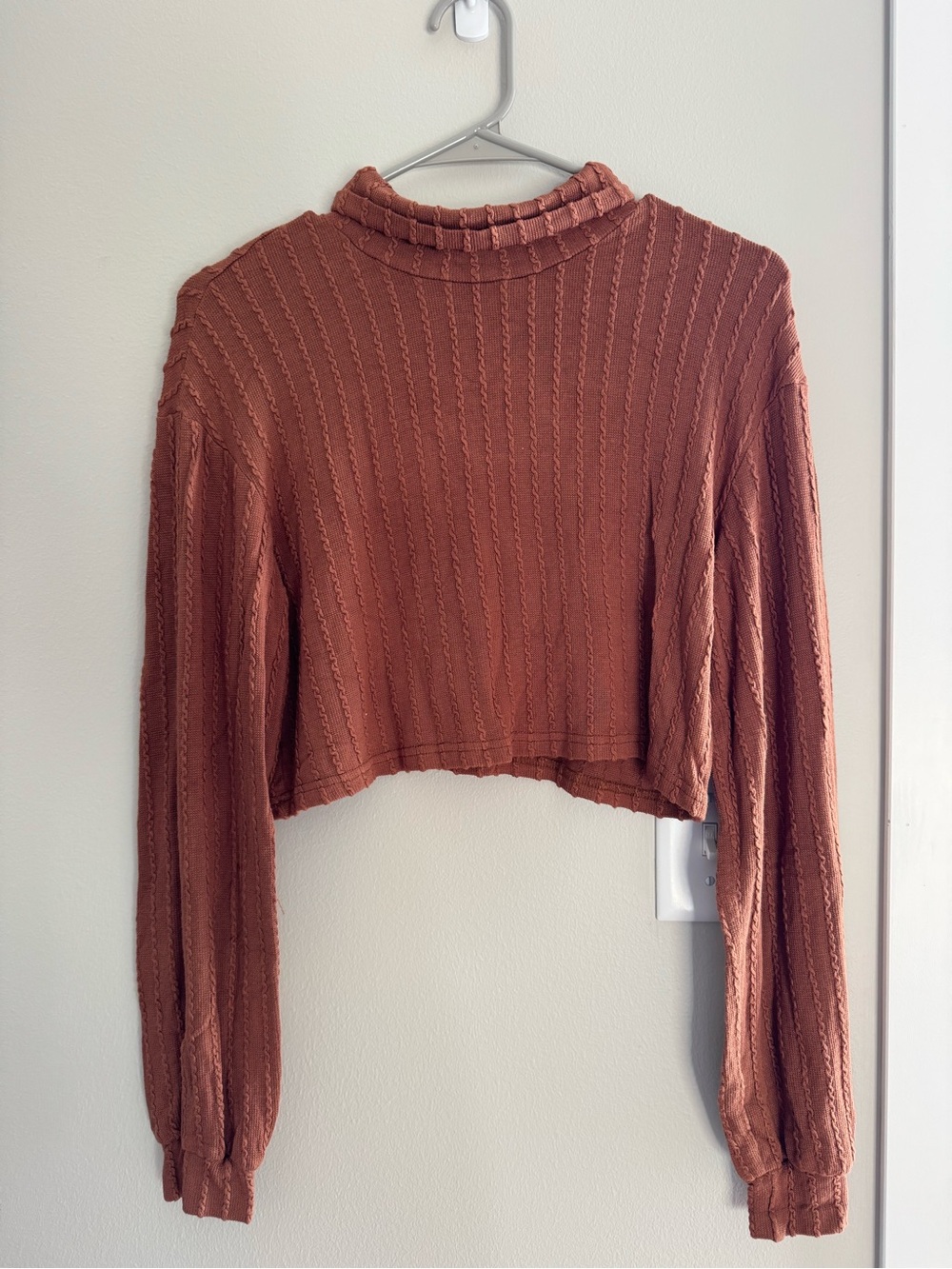 SHEIN Rust Textured Cropped Long-Sleeve Top